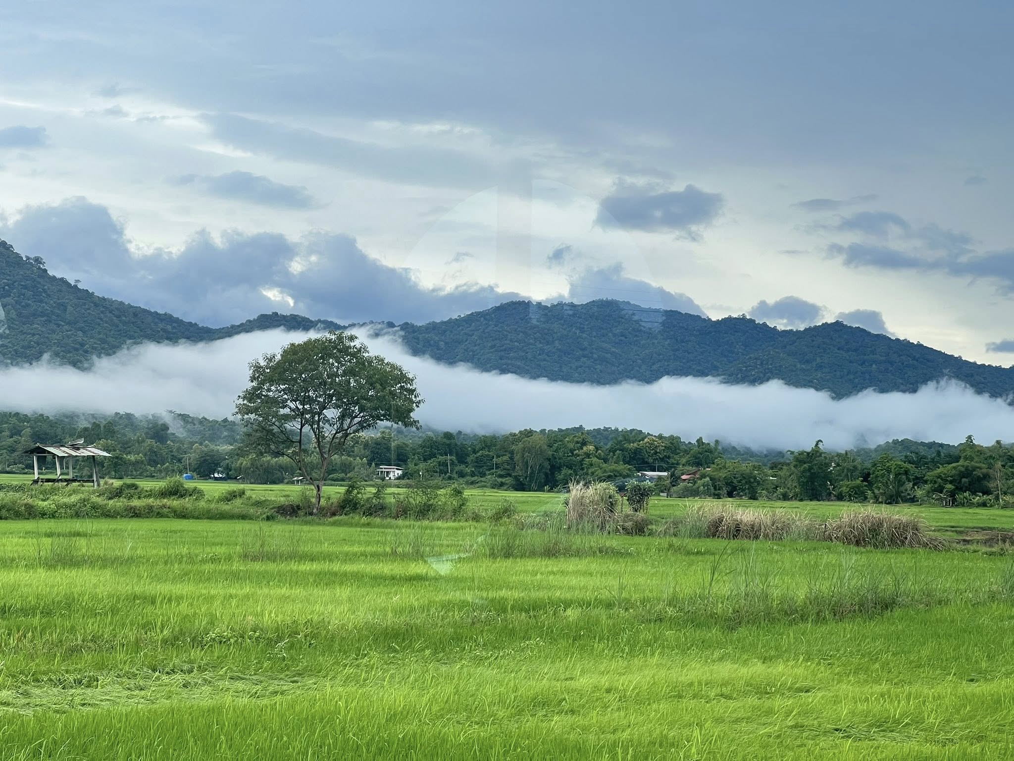 ภาพบรรยากาศบ้านภูเคียงนา คลองลาน (Baan Phu Kiang Na) 12 ภาพบรรยากาศบ้านภูเคียงนา คลองลาน (Baan Phu Kiang Na) 12