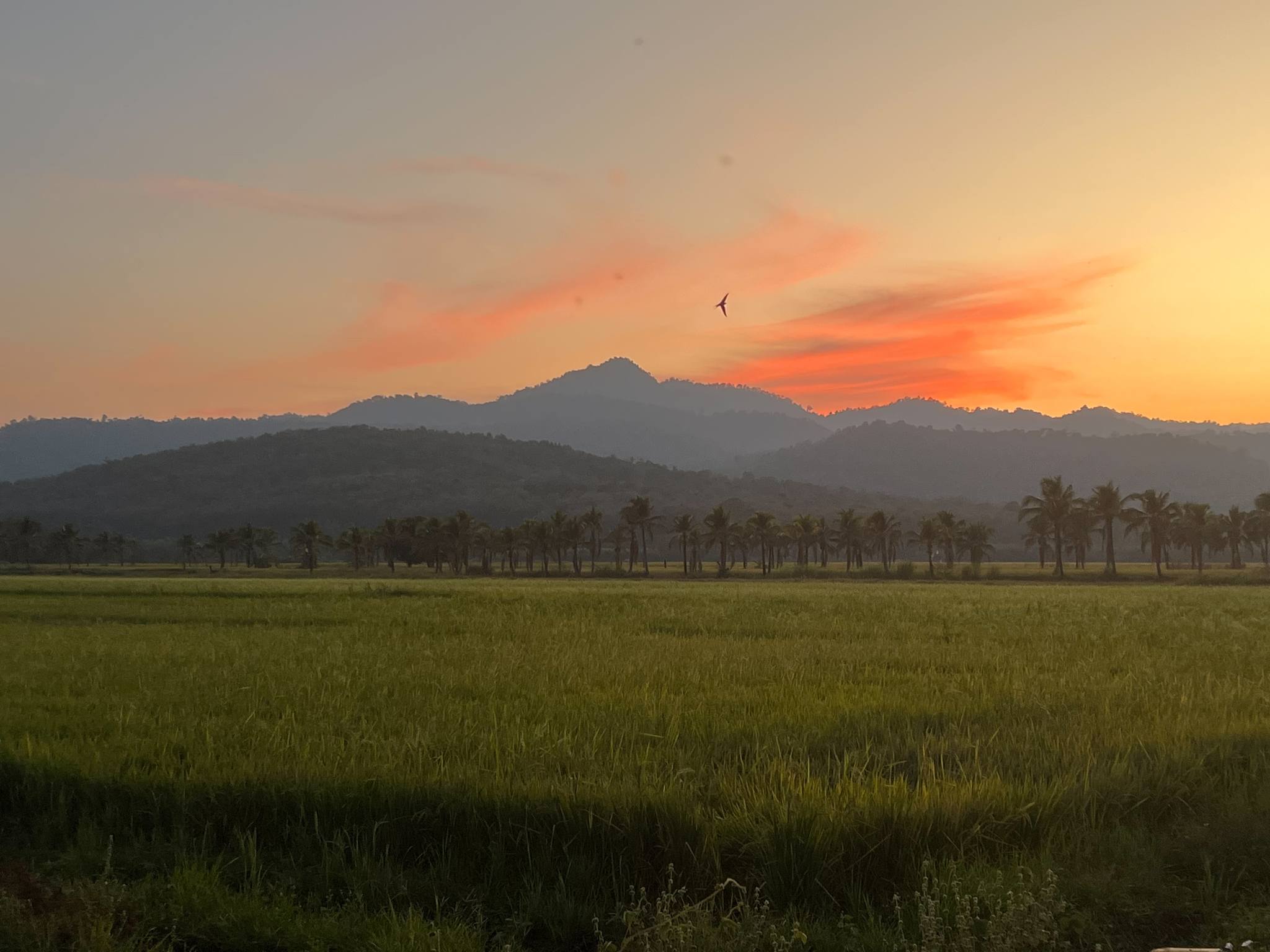 ภาพบรรยากาศบ้านภูเคียงนา คลองลาน (Baan Phu Kiang Na) 15 ภาพบรรยากาศบ้านภูเคียงนา คลองลาน (Baan Phu Kiang Na) 15