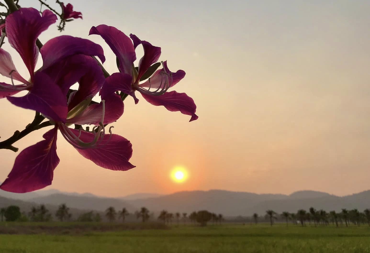 ภาพบรรยากาศบ้านภูเคียงนา คลองลาน (Baan Phu Kiang Na) 5 ภาพบรรยากาศบ้านภูเคียงนา คลองลาน (Baan Phu Kiang Na) 5