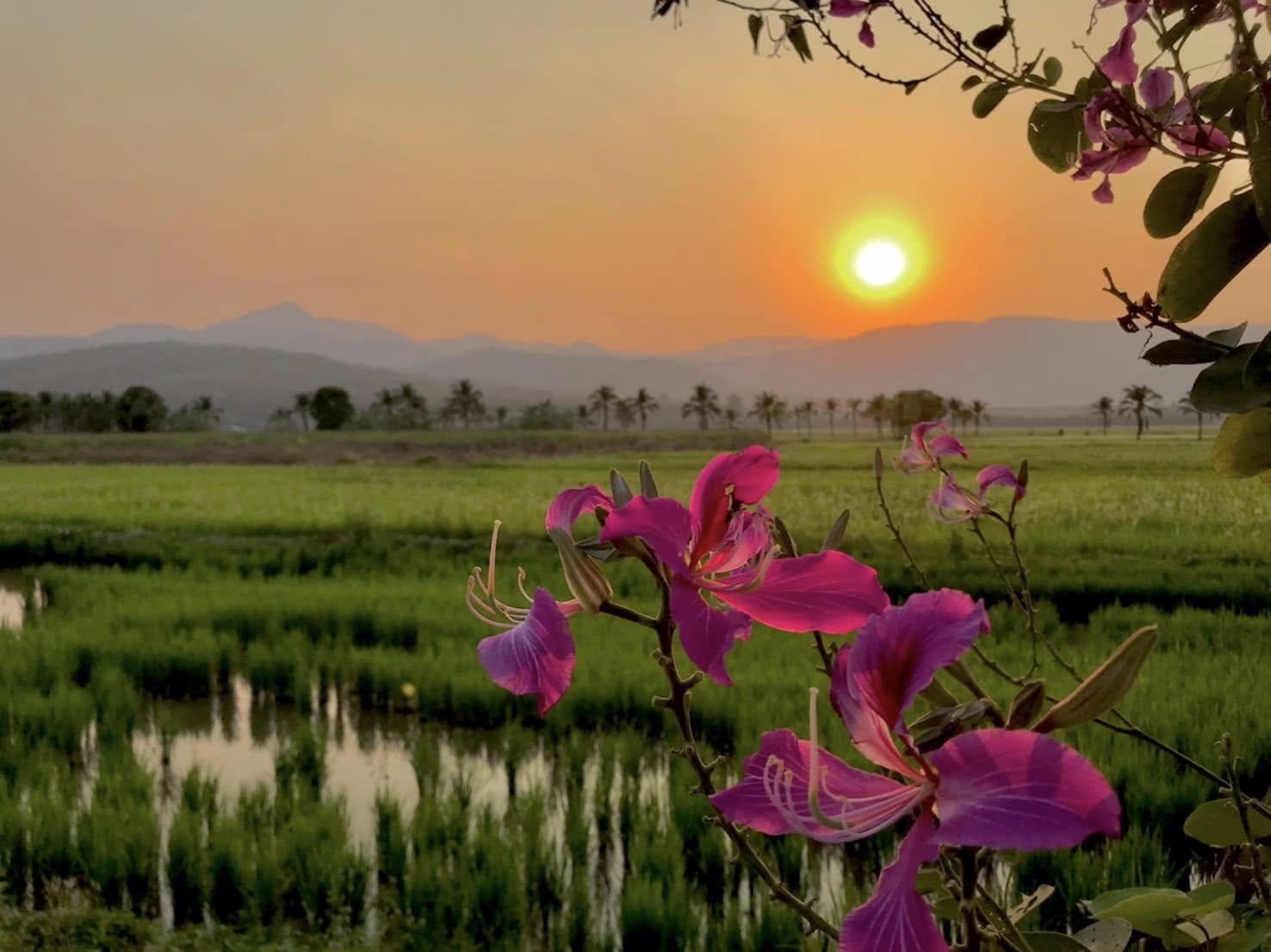 ภาพบรรยากาศบ้านภูเคียงนา คลองลาน (Baan Phu Kiang Na) 6 ภาพบรรยากาศบ้านภูเคียงนา คลองลาน (Baan Phu Kiang Na) 6